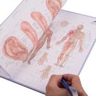 Acupuncture Meridian notepad; FR, 1017881, Acupuncture Charts and Models (Small)