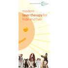 Flyer Laser Therapy and Laser Acupuncture Vet Small animals, EN, 1018607, 模型