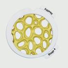 Hinged Disk Set - 4pc Osteoporosis, 1019509, Vertebra Models (Small)