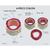 4 Piece Colon with Pathologies, 1019555, Digestive System Models (Small)