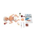 Simulatore Micro-Preemie, pelle chiara, 1020812, Assistenza neonatale (Small)