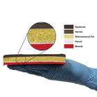 Replacement Tissue Pad Dark, for Suture Skills Trainer, 1021452, Adult Patient Care (Small)