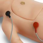 C.H.A.R.L.I.E. Neonatal Resuscitation Simulator Without Interactive ECG Simulator, 1021584, BLS Newborn (Small)