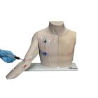 Chester Chest&trade; con nuevo brazo mejorado, 1021821, Reanimaci&oacute;n cardiopulmonar avanzada con traumatismo (ATLS) (Small)