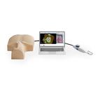 MrTEEmothy&reg; Standard Simulator f&uuml;r trans&ouml;sophageale Echokardiographie, 1022128, Echokardiographie (Small)