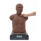 SAM 3G&reg; - Auskultationstrainer, dunkelh&auml;utig, 1022396, Auskultation (Small)