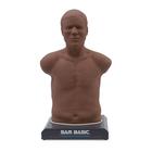 SAM Basic&reg; - Affordable Adult Auscultation Manikin, Dark Skin, 1022474, Auscultation (Small)