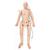 TERi™ Geriatric Patient Skills Trainer - Androgynous trainer for physical skills practice simulation, light skin, 1022932, Geriatric Patient Care (Small)