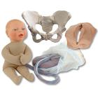 Conjunto de modelos de educação para o parto - Pélvis padrão com modelo fetal bege, 1023096, Obstetrícia