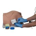 Bonnie Bone Marrow Biopsy Skills Trainer&trade;, 1023340, Epidural y espinal (Small)