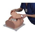 Bonnie Bone Marrow Biopsy Skills Trainer&trade;, 1023340, Epidural y espinal (Small)