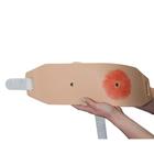 Um cinto de velcro para utilizar com o Treinador de Bolsa de Ostomia, 1 pc
, 1023352, Pe&ccedil;as de reposi&ccedil;&atilde;o (Small)