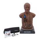 SAM Basic&reg; - Simulador de Ausculta&ccedil;&atilde;o Adulto com pre&ccedil;os acess&iacute;veiscom laptop, pele escura, 1023422, Ausculta&ccedil;&atilde;o (Small)