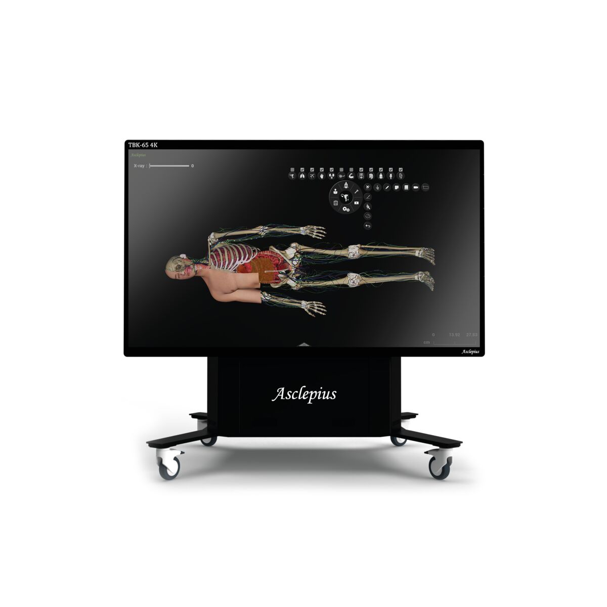 Asclepius TBK 65 4K Table de dissection virtuelle | 1023470 | Asclepius ...