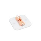 M&oacute;dulo de Treinamento Anastomose, 1023671, Laparoscopy (Small)