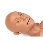 DANi Teen & Young Adult Advanced Patient Skills Trainer, medium, 1024358, Adult Patient Care (Small)
