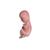 Manichino di feto abortito
, 1024667, Newborn (Small)