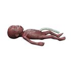 Lifecast Mikro-Premat&uuml;re Bebek, 1024668, Newborn (Small)