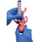 Lifecast Mikro-Premat&uuml;re Bebek, 1024668, Newborn (Small)