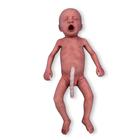 Frühgeborenes Baby helle Haut / männlich
, 1024669, ALS Neugeborene