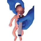 Bebê Prematuro Caucasiano / Feminino 
, 1024671, Simuladores Médicos