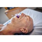 Lifecast Adult Manikin Torso, 1024736, Adult (Small)