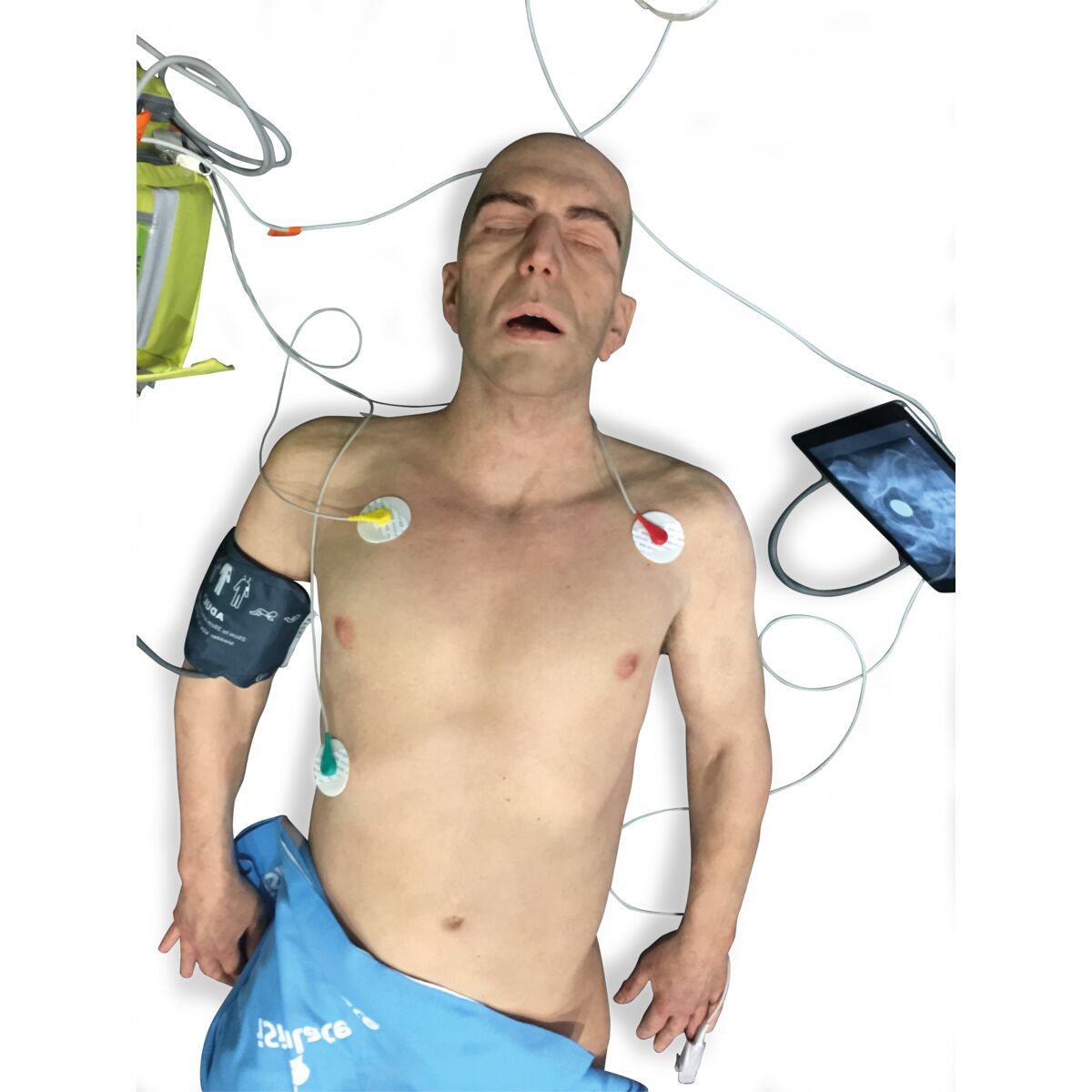 Manikin Adulte ( Carl ) - 1025080 - Lifecast - ALSM-001 - Adult - 3B ...
