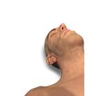 Lifecast Adult (Carl), 1025080, Adult (Small)