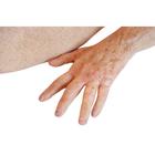 Lifecast Senior (Pete Post-COVID), 1025393, Adult (Small)