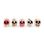 Calavera Decorativa de Halloween
, 1025480, Modelos de Cr&aacute;neos Humanos (Small)