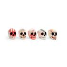 Calavera Decorativa de Halloween
, 1025480, Modelos de Cr&aacute;neos Humanos (Small)