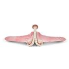 Szarvasmarha teriogenol&oacute;giai uterus k&eacute;szlet (5 darabos), 1025499, Szarvasmarha szimul&aacute;torok &nbsp; (Small)