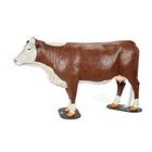 Product in Brown