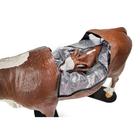 Hereford Model Dystocia Simulator Brown, 1025508, Bovine Simulators (Small)