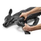 Black Angus Dystocia Calf Model, 1025511, Bovine Simulators (Small)