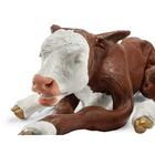 Hereford dystocia borj&uacute; modell, barna, 1025514, Szarvasmarha szimul&aacute;torok &nbsp; (Small)