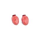 Bovine Ovary Set, 1025523, Bovine Simulators (Small)