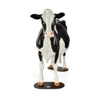 Holstein Model Dystocia Simulator, 1025528, Bovine Simulators (Small)