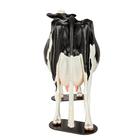 Holstein Model Dystocia Simulator, 1025528, Bovine Simulators (Small)