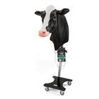 Product in with stand