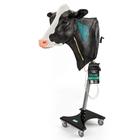 Holstein v&eacute;napunkci&oacute;s &eacute;s intramuszkul&aacute;ris injekci&oacute; &aacute;llv&aacute;nnyal, 1025548, Szarvasmarha szimul&aacute;torok &nbsp; (Small)
