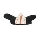 Tratto gastrointestinale equino con intestino tenue, 1025575, Ricambi (Small)