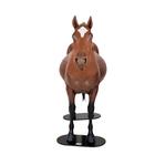 Equine Dystocia & Nasogastric Simulator, 1025586, Equine Simulators (Small)