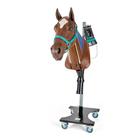Equine Nasogastric with Venipuncture and Intramuscular Injection Model with Stand, 1025594, Equine Simulators (Small)