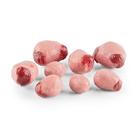 Conjunto de ovarios de oveja Southdown, 1025611, Simuladores de porcinos y ovinos (Small)