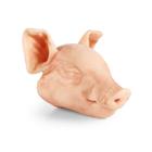 Nem behatol&oacute; kis malac (3 kg) feje, 1025656, Eutan&aacute;zia tr&eacute;ning szimul&aacute;torok (Small)