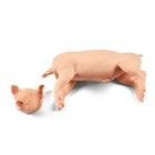 Nem penetr&aacute;ci&oacute;s malac, 6 kg, 1025657, Eutan&aacute;zia tr&eacute;ning szimul&aacute;torok (Small)