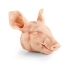 Nem penetr&aacute;ci&oacute;s, nagy (9 kg) malac feje, 1025660, Eutan&aacute;zia tr&eacute;ning szimul&aacute;torok (Small)