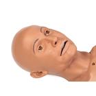 DANi Teen & Young Adult Advanced Patient Care Trainer, medium, 1025683, Adult Patient Care (Small)