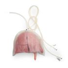 ASSP for Surgical Cut Suit - Lung injury, 1025858, Surgical Procedures Training (Small)